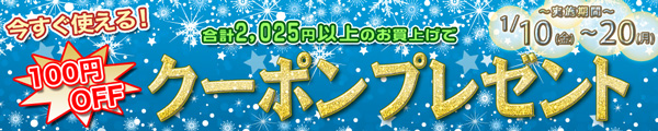 ヤフーショッピング100円クーポン